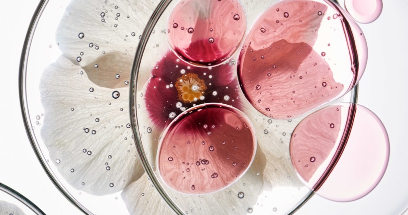 Альтернативное описание