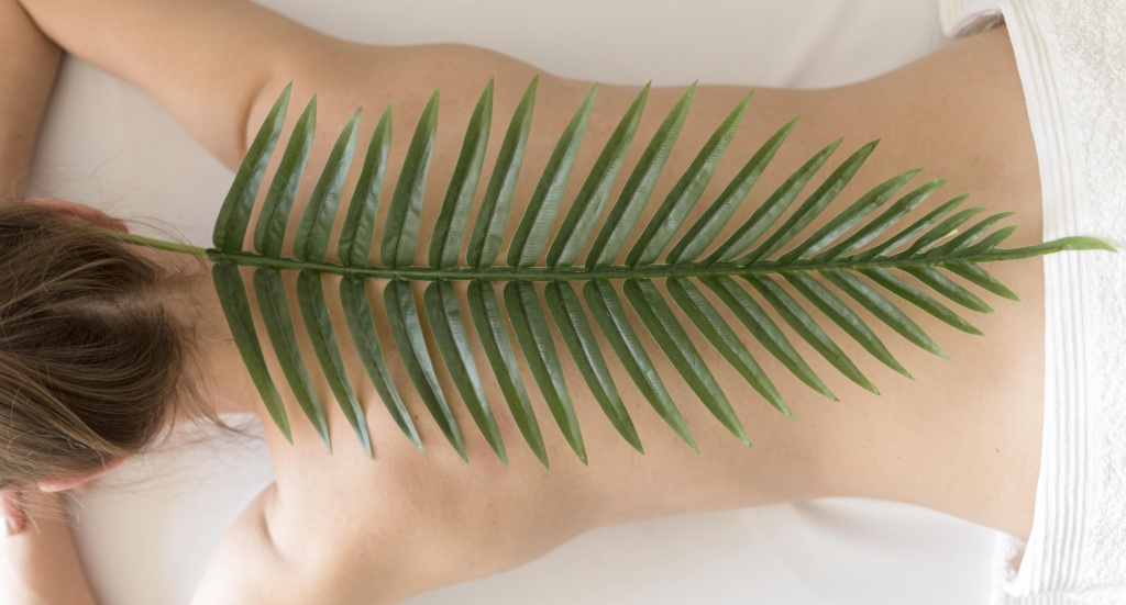 top-view-leaf-woman-back.jpg